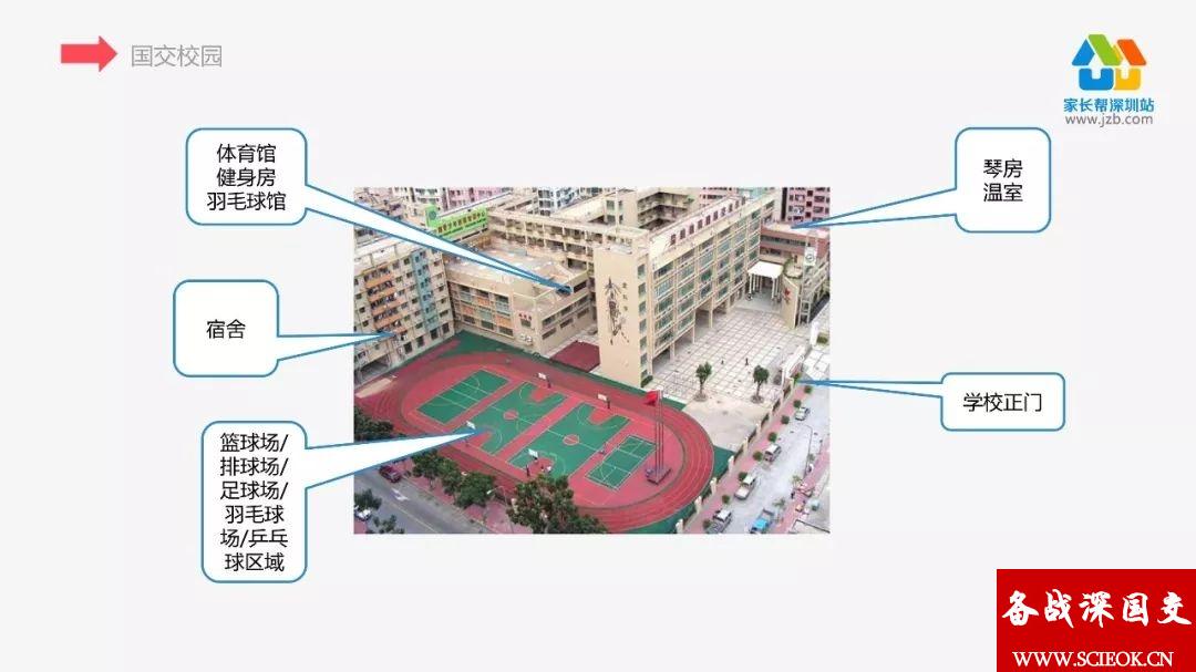 几段话快速了解深国交（深圳国际交流学院）