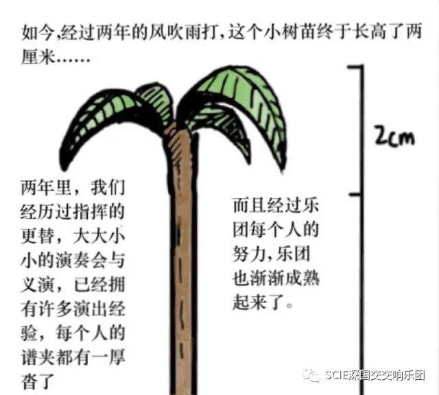 震惊！国交乐团团长竟然... 深国交 学在国交 深国交交响社 第6张