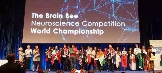 SFC | 2019 Brainbee 脑科学大赛 深国交 深国交金融社 学在国交 第2张