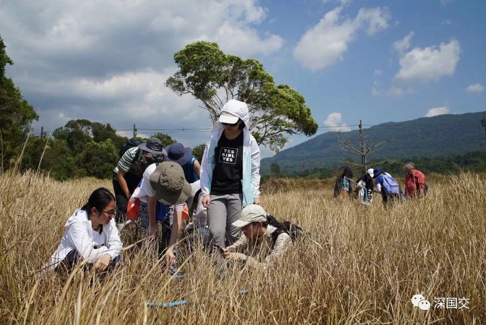 学生物，先去泰国原始丛林体验吧！ 深国交 学在国交 户外 第7张