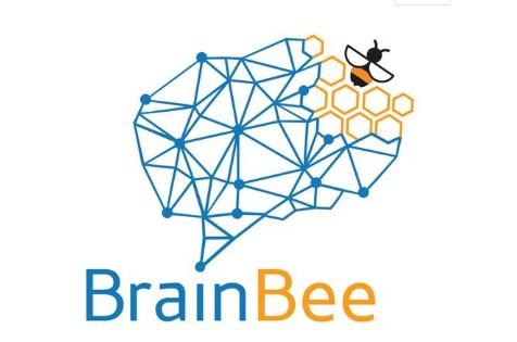 2020年Brain Bee脑科学大赛地区赛|深国交获奖人数为广东赛区之最