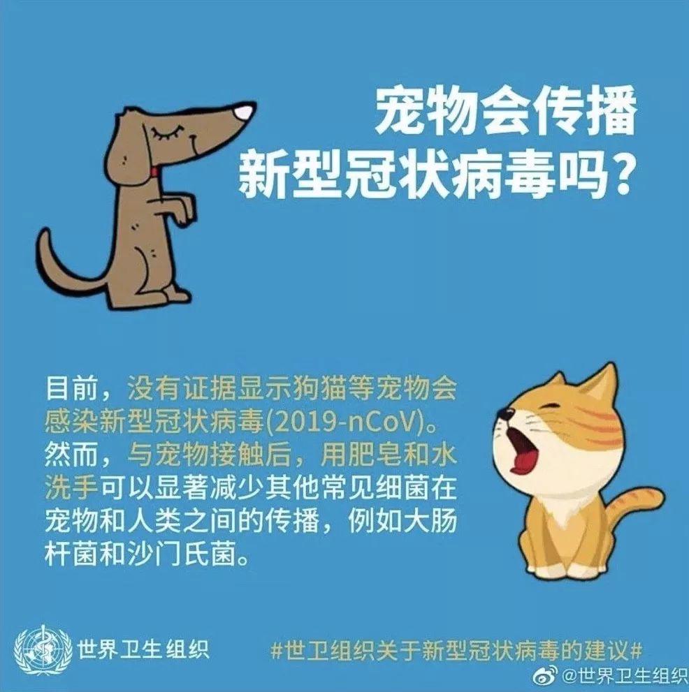 反思教育：喝着双黄连，扔了宠物猫，没得肺炎，却烧坏了大脑