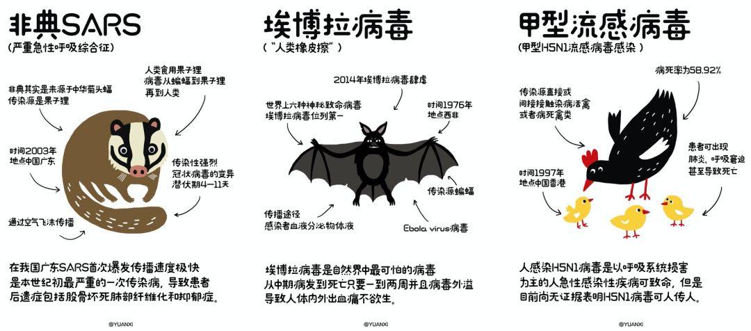 反思教育：喝着双黄连，扔了宠物猫，没得肺炎，却烧坏了大脑  疫情相关 第3张