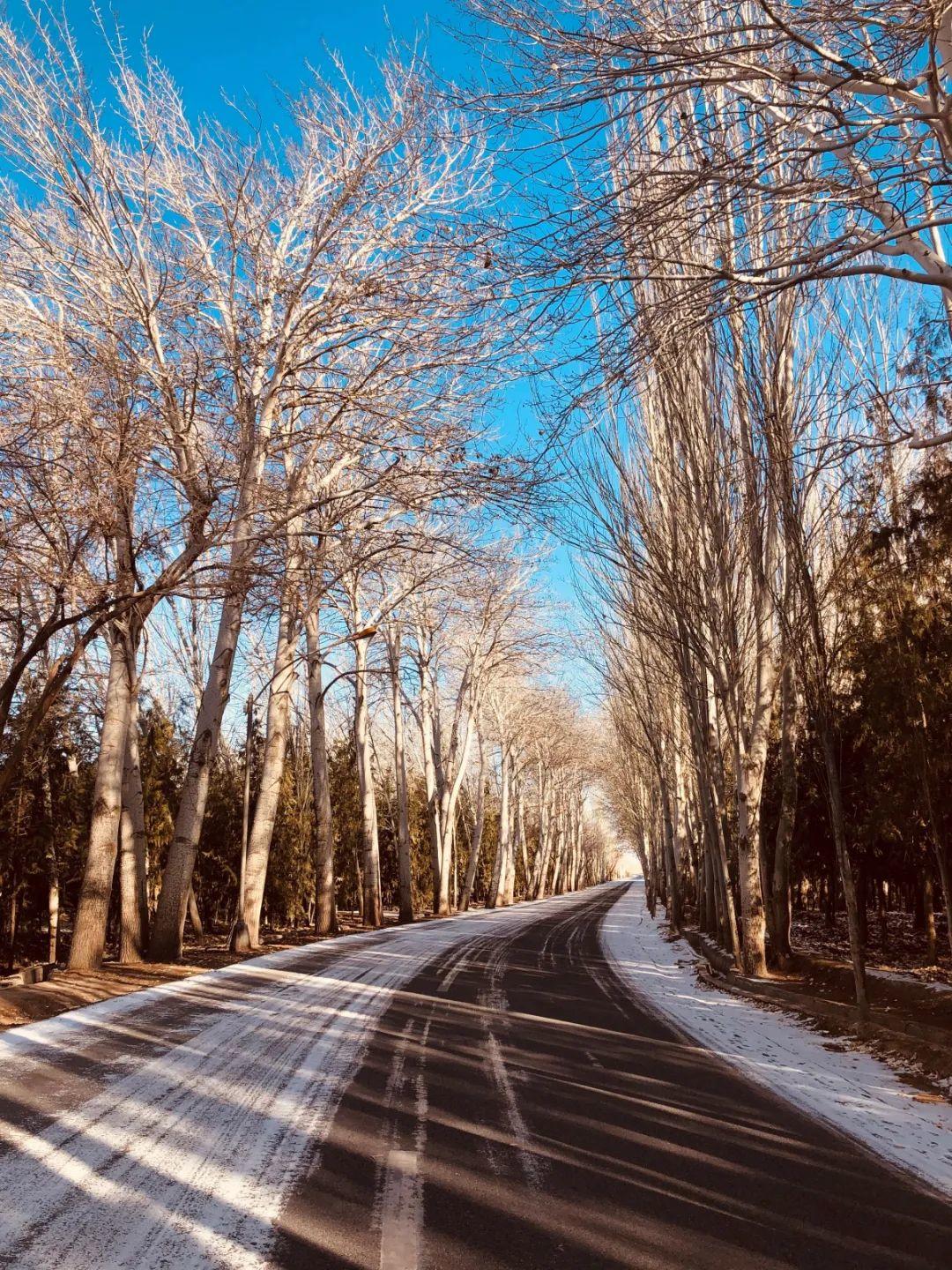 烙印 | 深国交学生冬日敦煌研学记（回忆录）Field trip to Dunhuang  学在国交 深圳国际交流学院 深国交 第29张