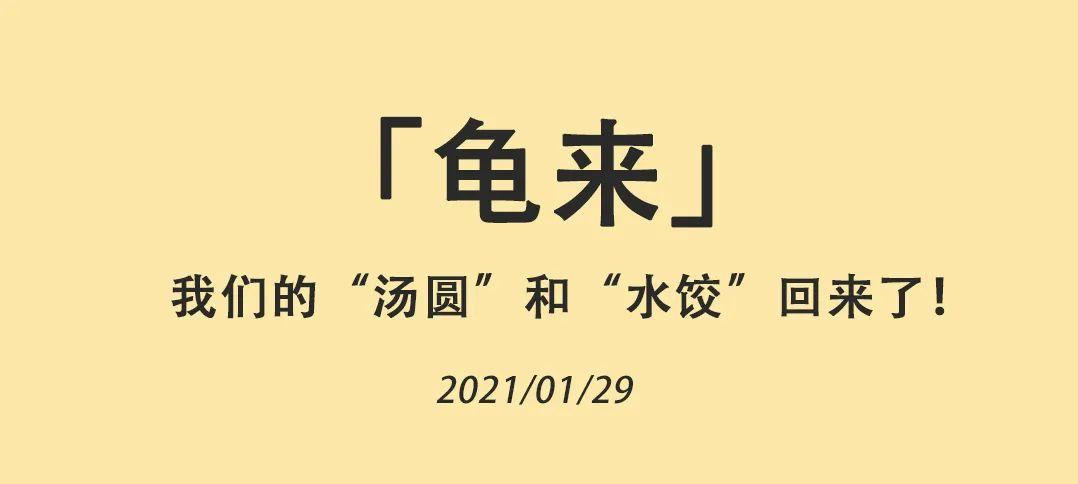 深国交神兽「龟来」 --  “汤圆Scarlett”和“水饺Rhett”移居至安托山