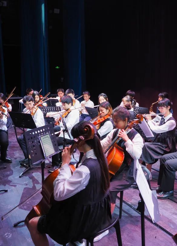 深国交官方管弦乐团SCIE Orchestra｜2021年招新  深国交 深圳国际交流学院 学在国交 第5张