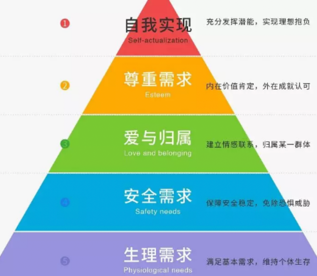 应试教育or素质教育？中产教育的陷阱，费尽一切养了个“城市做题家”  国际化教育理念 第3张