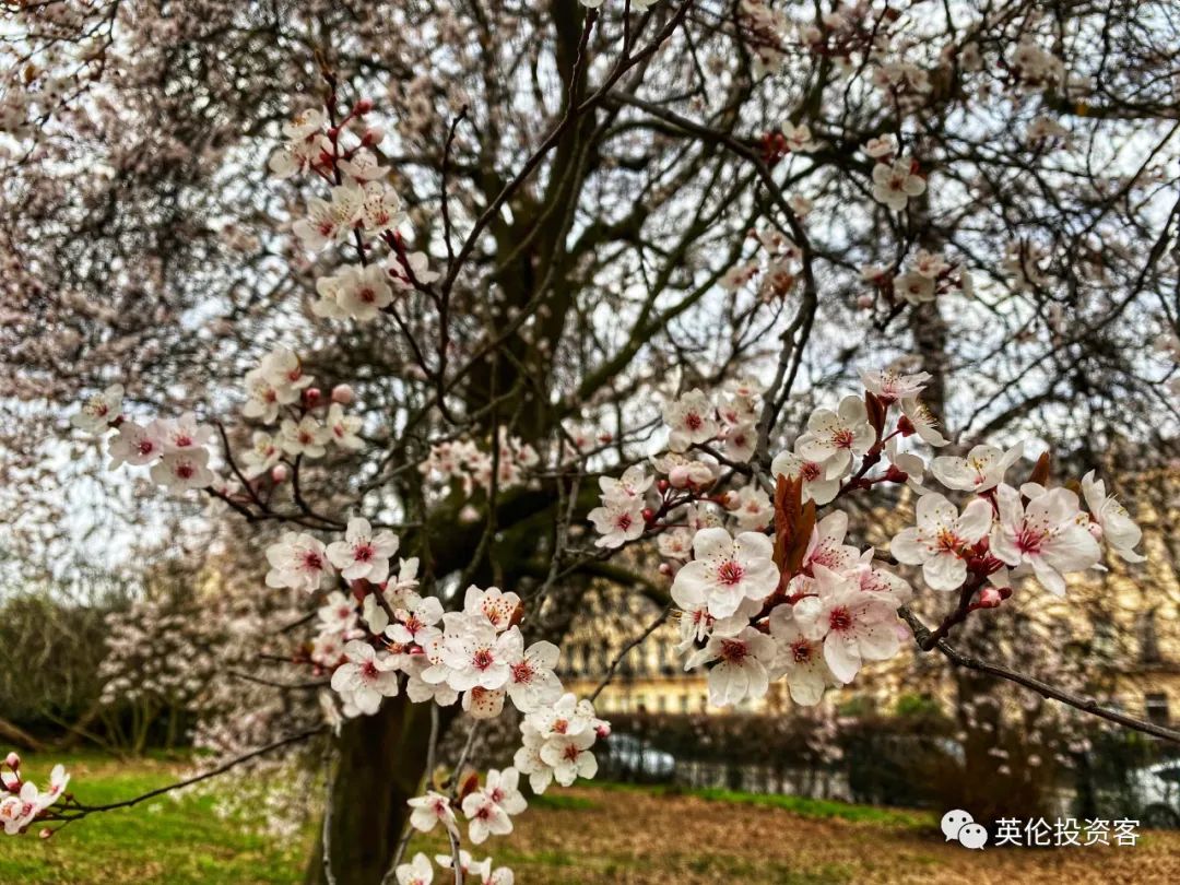 再夺第一，伦敦当选全球最美城市  英国留学 第10张