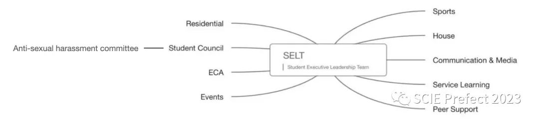 深国交SLB简介 Introduction to the Student Leadership Body 来竞选吧  深国交 深圳国际交流学院 学在国交 Winnie 第1张