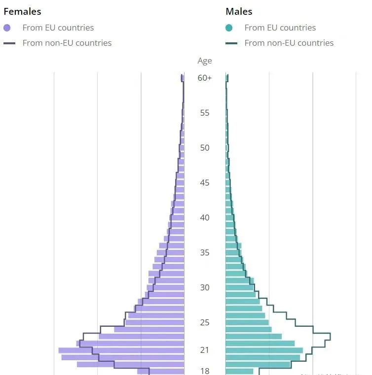 国际生达37万！英国人口普查最新数据出炉：中国学生留英就业情况如何？  数据 第6张