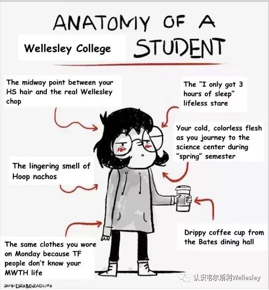 读女校的人，都长什么样？