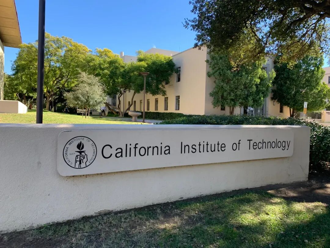 翻遍美本TOP50录取数据，女生的录取优势果然明显……  第3张